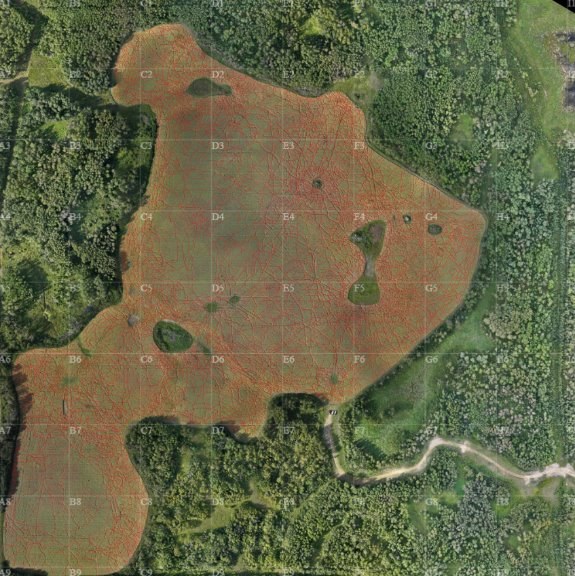 Stitched Aerial Photo with AI