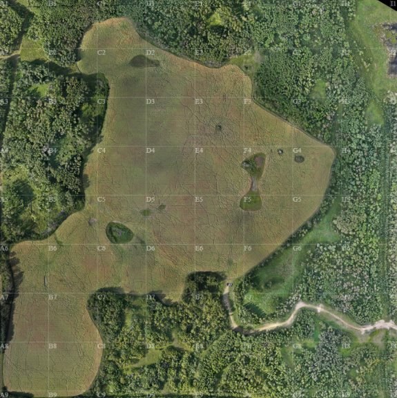 Stitched Aerial Photo